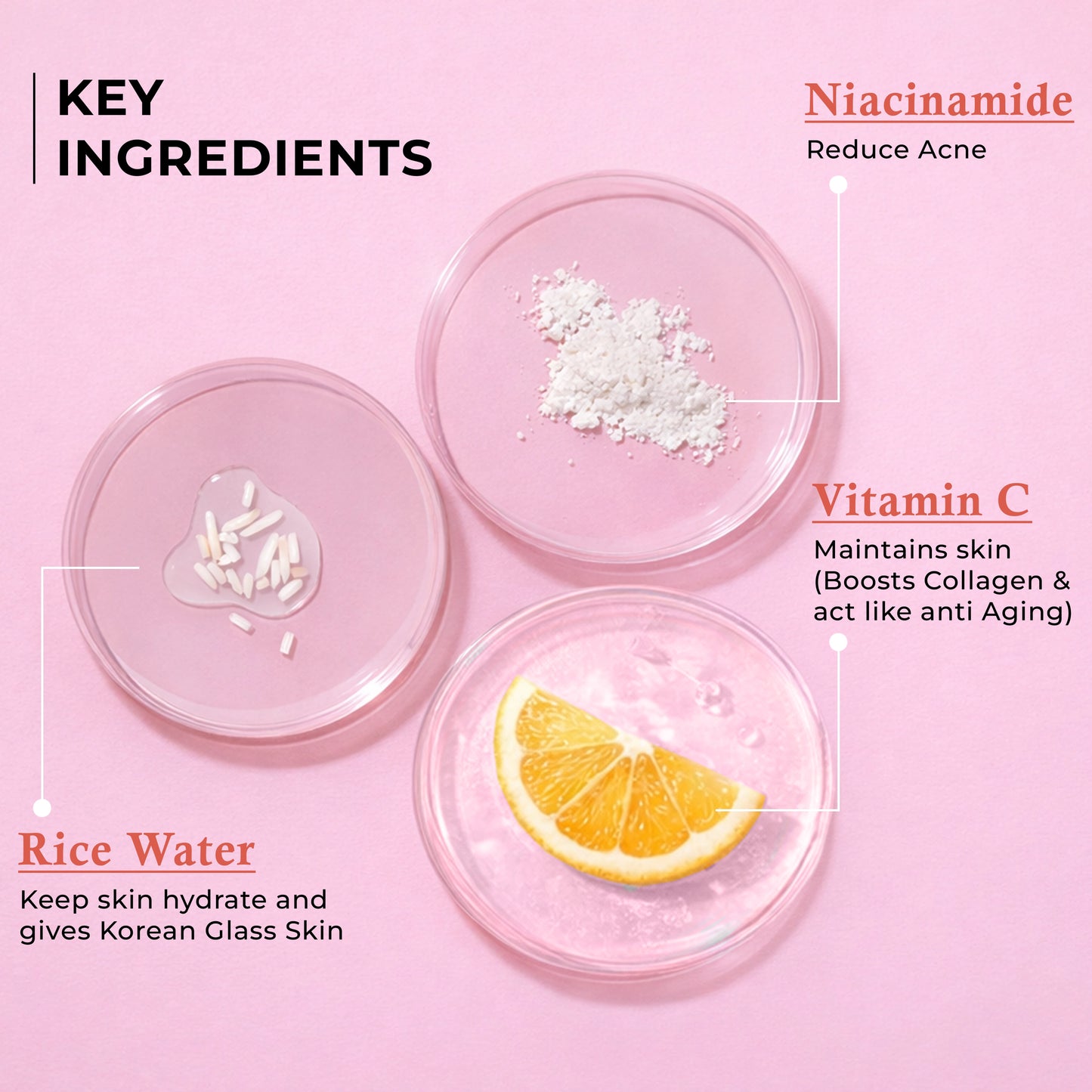 Rice Water Sunscreen with Niacinamide, Alpha Arbutin & Vitamin C- 50 Gm